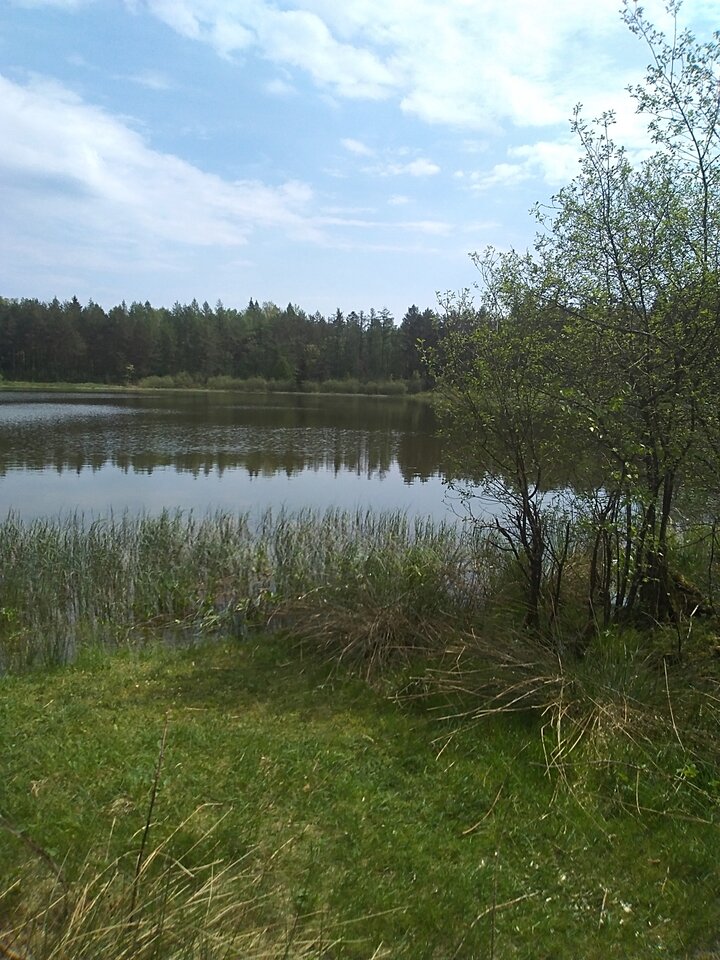 IMG_20240505_112347.jpg - Krzysztof061985