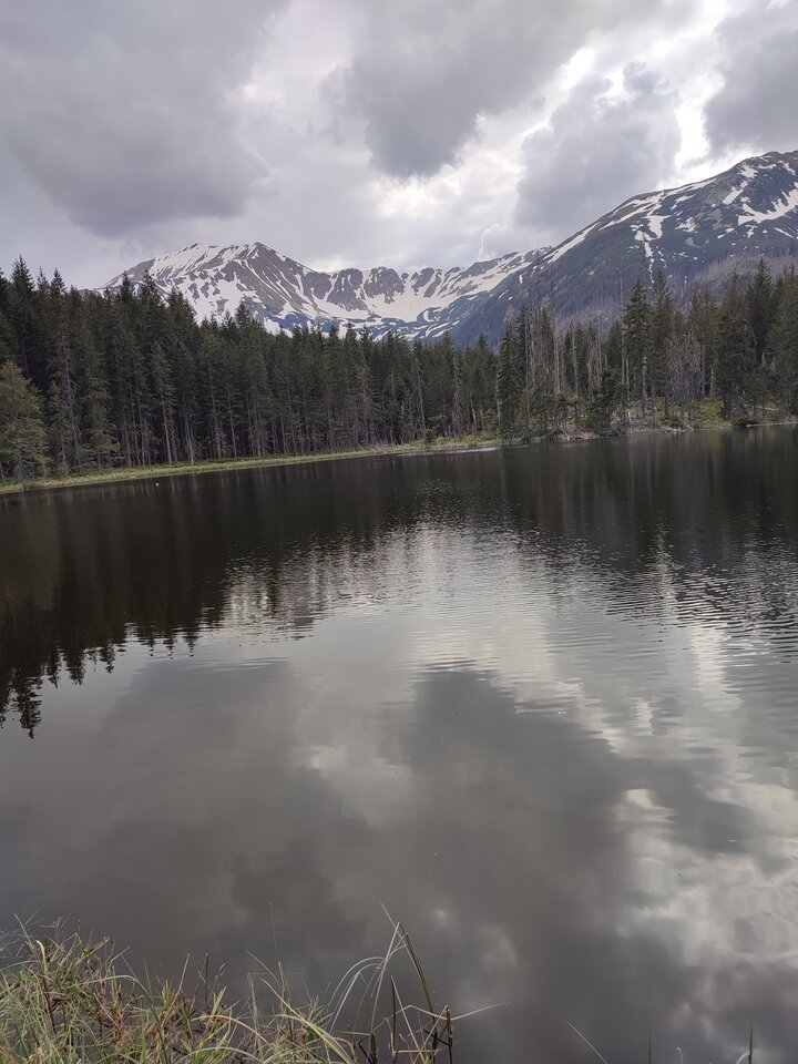 217.jpg - robinsonk2