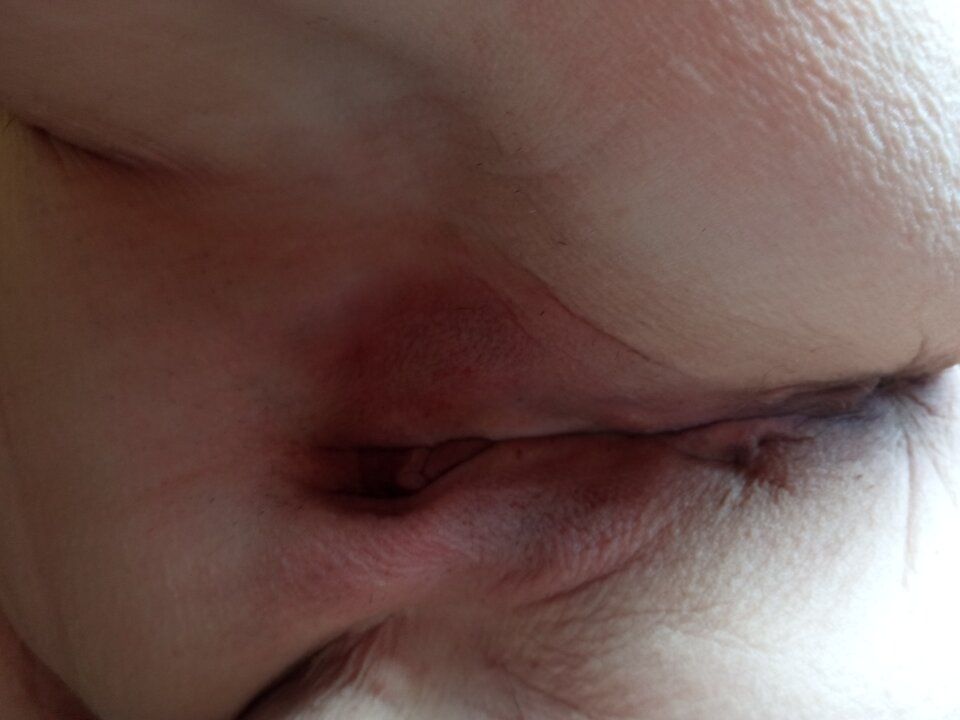 IMG_20240505_102800.jpg - olla55