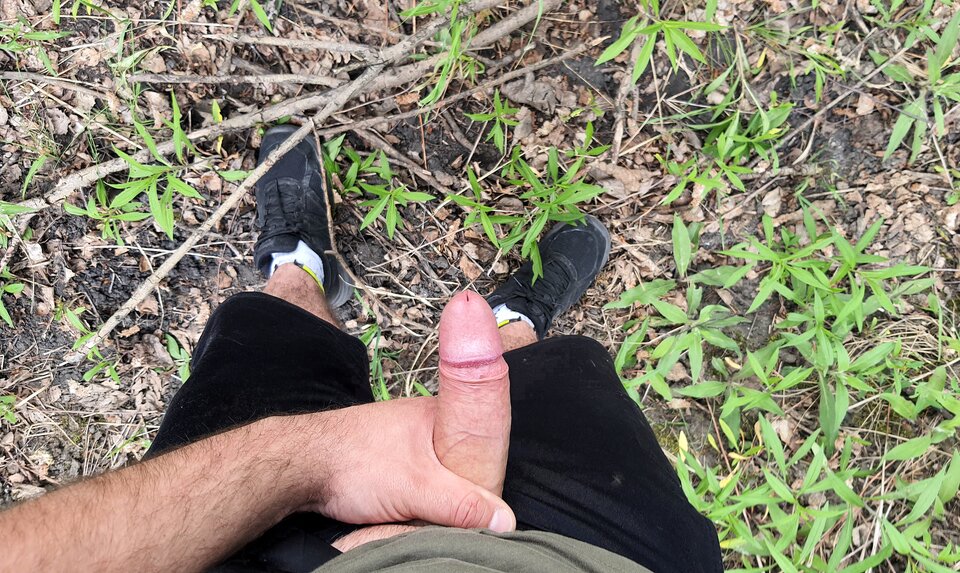 1000035107.jpg - toxict