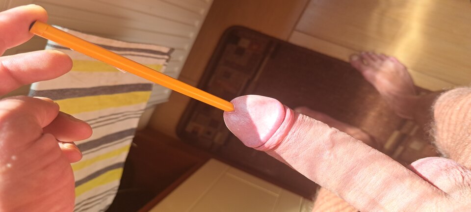 1000012335.jpg - Naturysta70