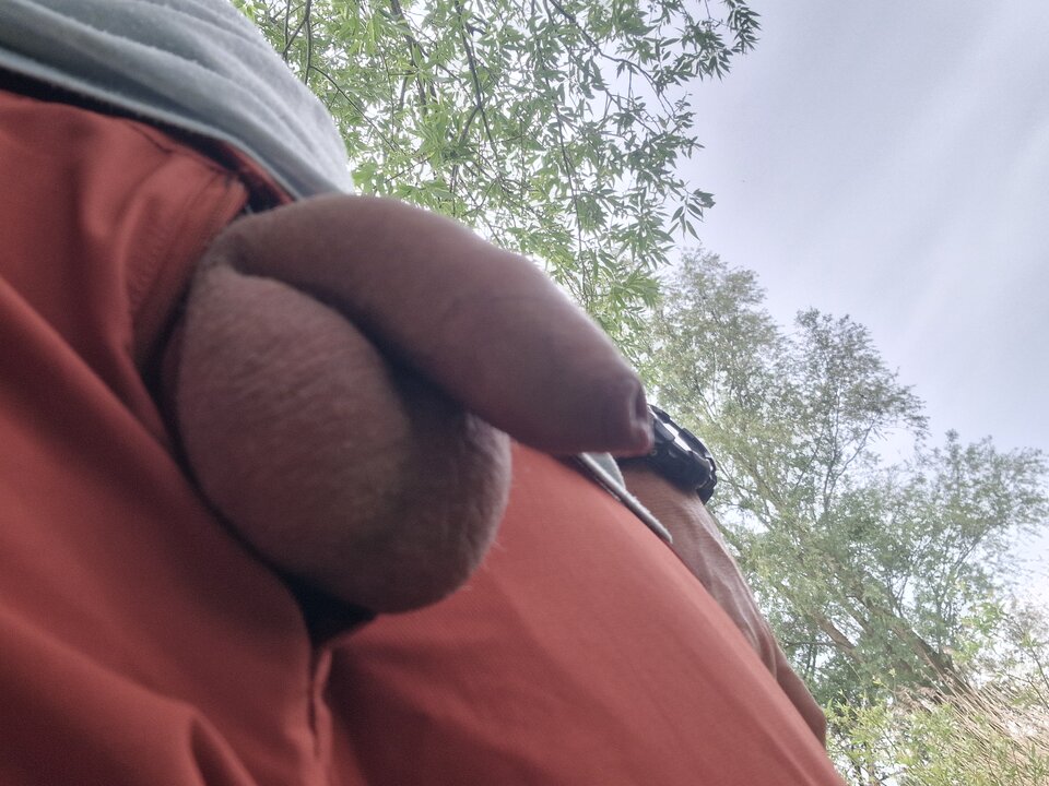 1000012751.jpg - matiwrobis