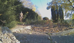 Rosarium slow.mp4_snapshot_00.26.264.jpg