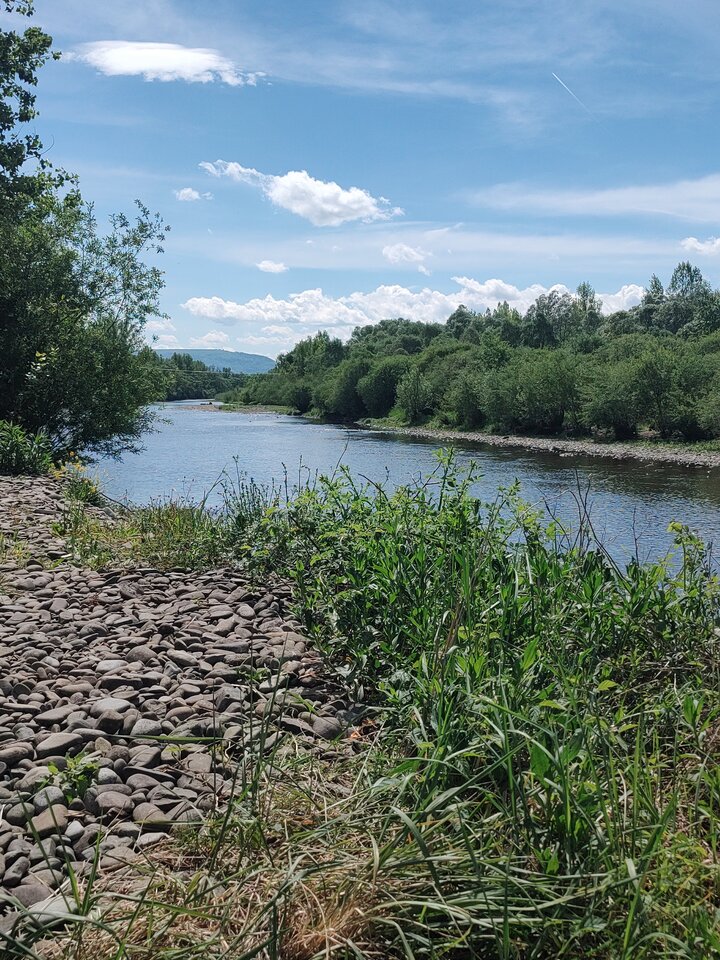 IMG_20240506_120749112.jpg - ParaOsw4540