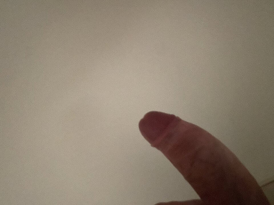 IMG_5803.jpeg - Pomidorek1995