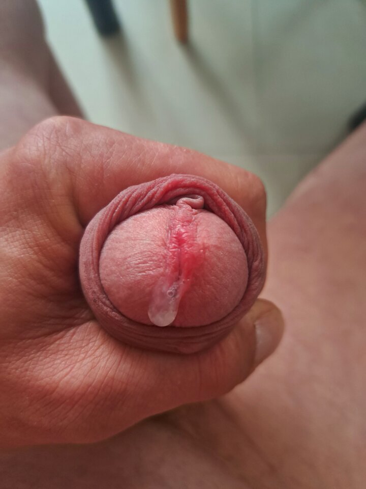 20240506_145823.jpg - szalonaparka76