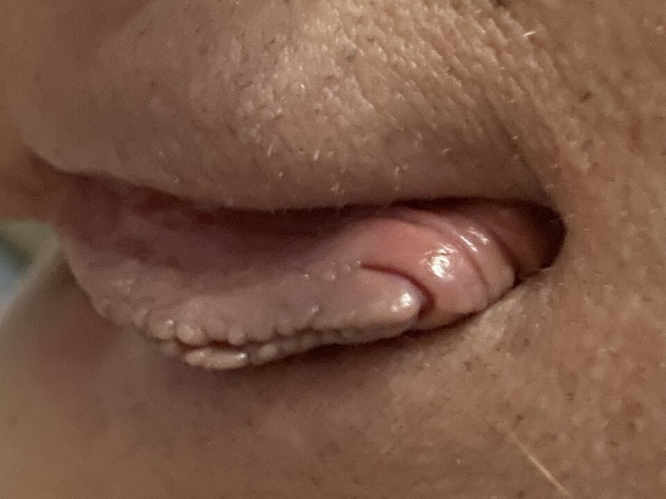 IMG_4760.jpeg - oniona69razem