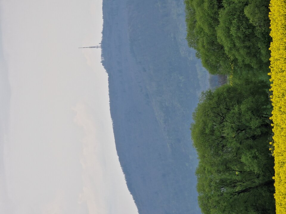 1000004960.jpg - Aron82bigbeny