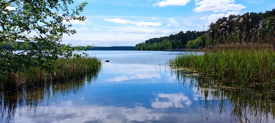 IMG_20240507_120902.jpg - Bydgoszczak1986