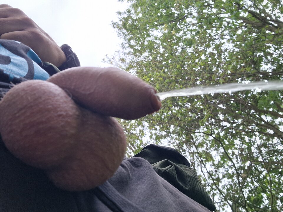 1000012786.jpg - matiwrobis