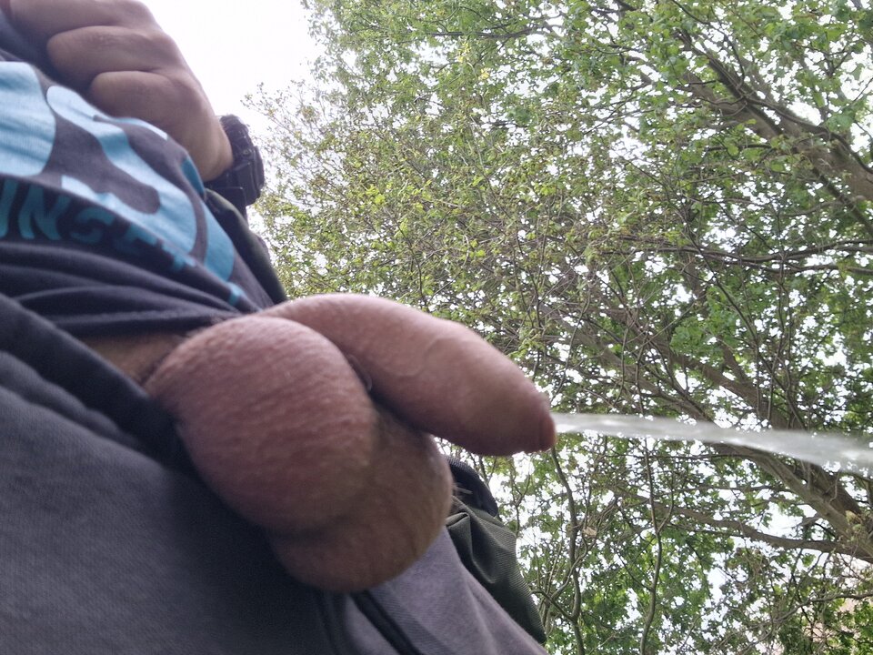 1000012785.jpg - matiwrobis