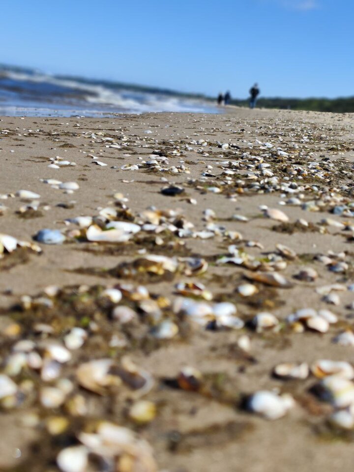 IMG_20240507_151715_217.jpg - Dwoch_Kumpli