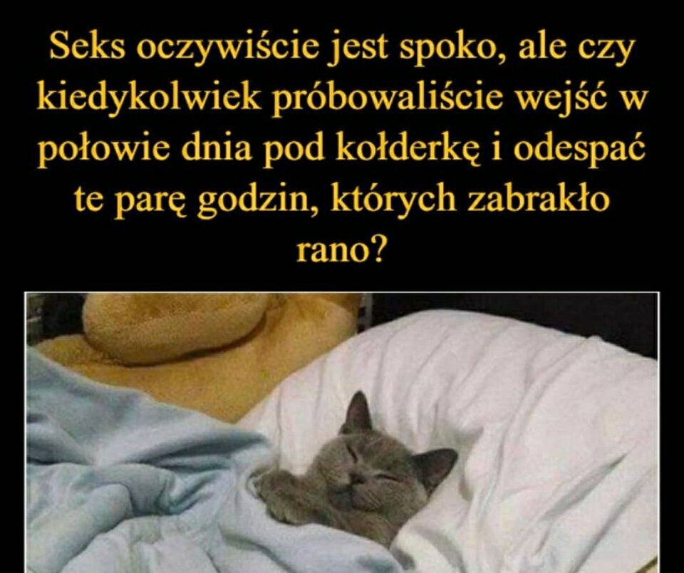 IMG_20230122_200957.jpg - Elliza