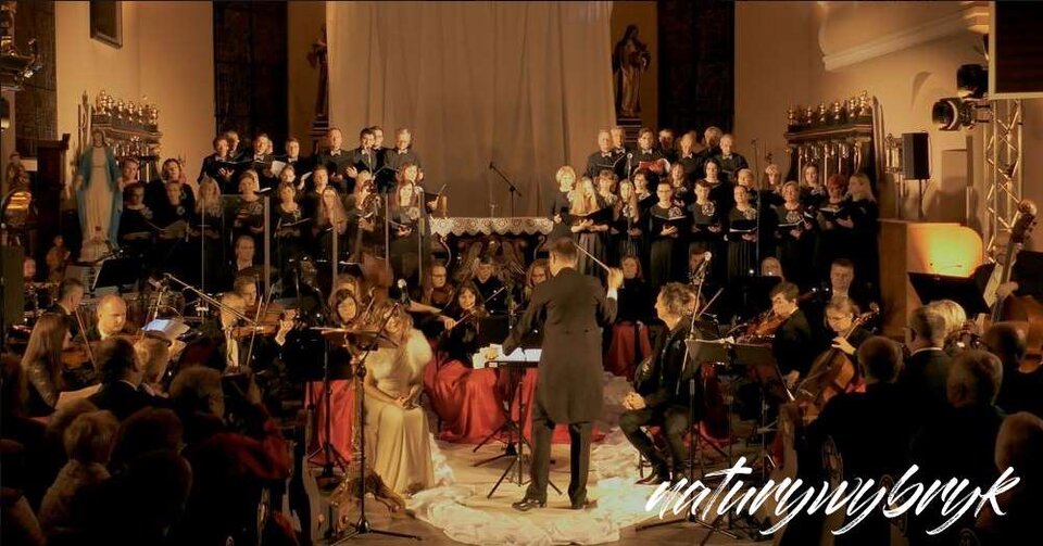 zb-nw-2022-07-10_18h55_01.jpg - naturywybryk