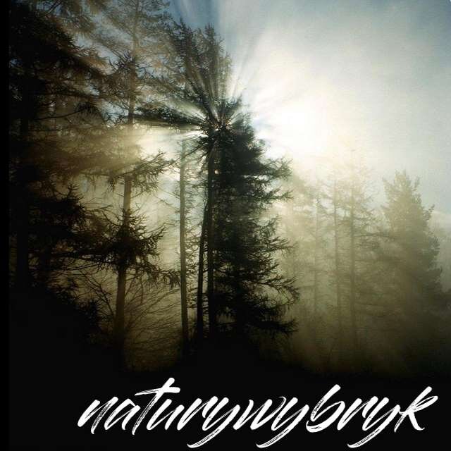 zb-nw-obrazek1r.jpg - naturywybryk