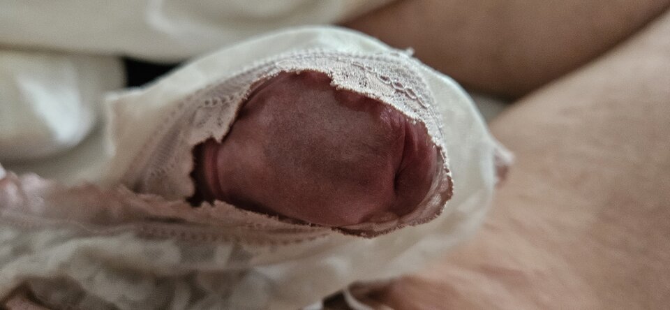 1000019196.jpg - wast79