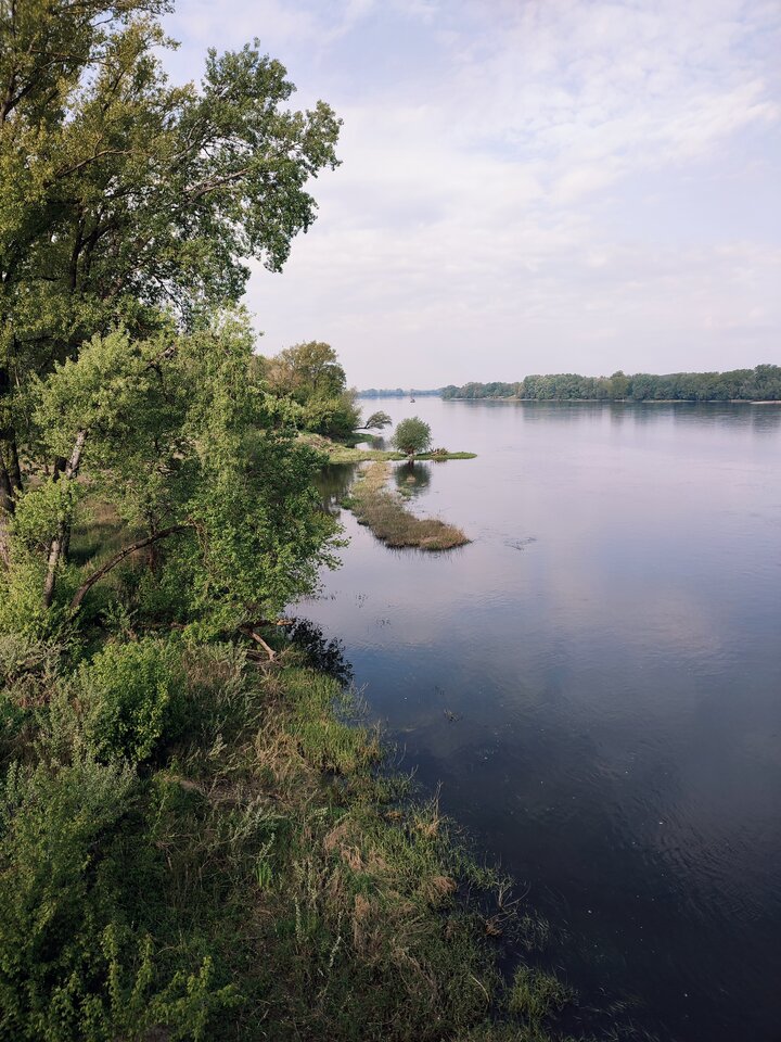 IMG_20240508_194026.jpg - BedeOpowiadal