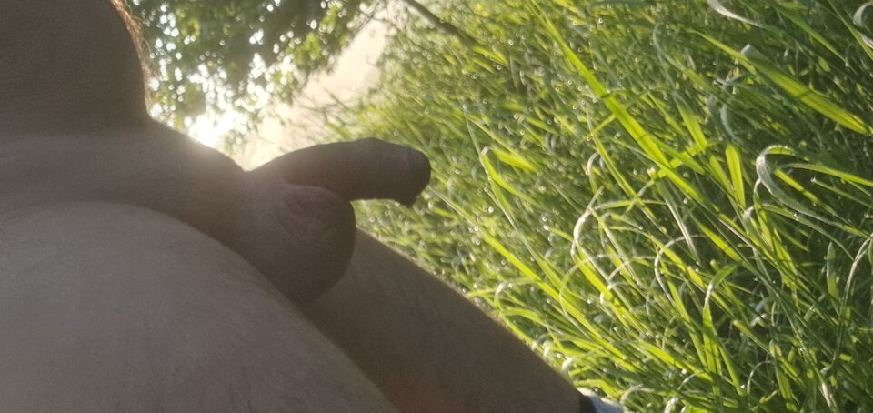 1000022220.jpg - rafal1410