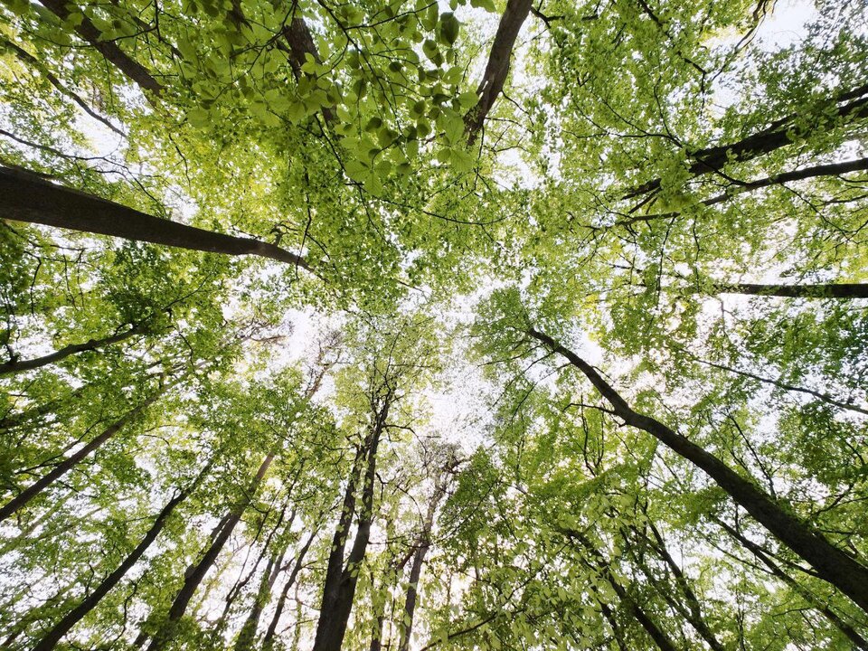 -5899927395933209140_121.jpg - Dwoch_Kumpli