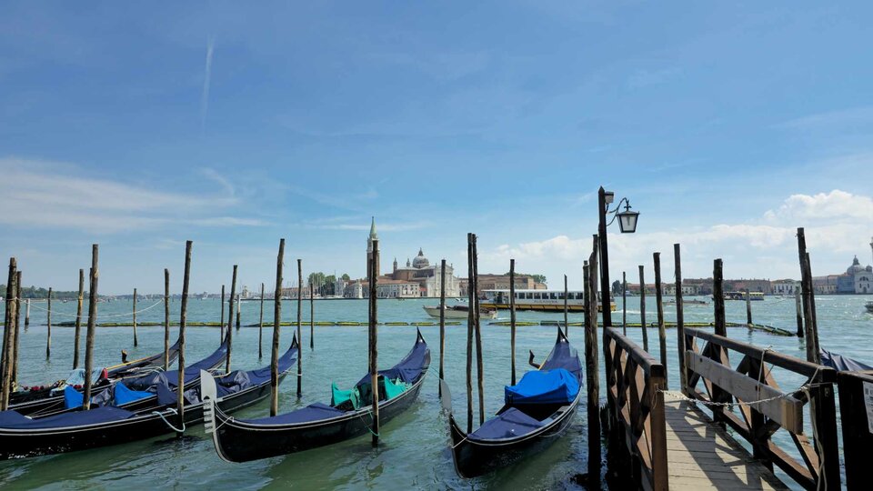 440361441_1005861067789658_8691983490360830716_n.jpg - WolnyDuch3