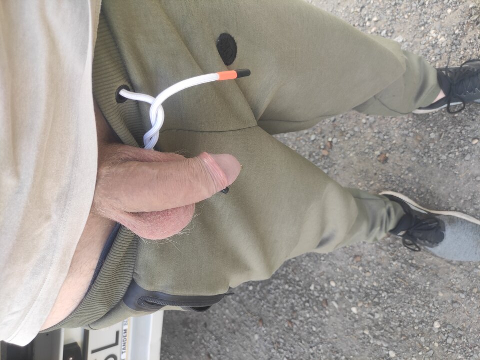 IMG_20240509_143834.jpg - Adamadam1978