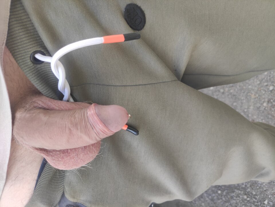 IMG_20240509_143837.jpg - Adamadam1978