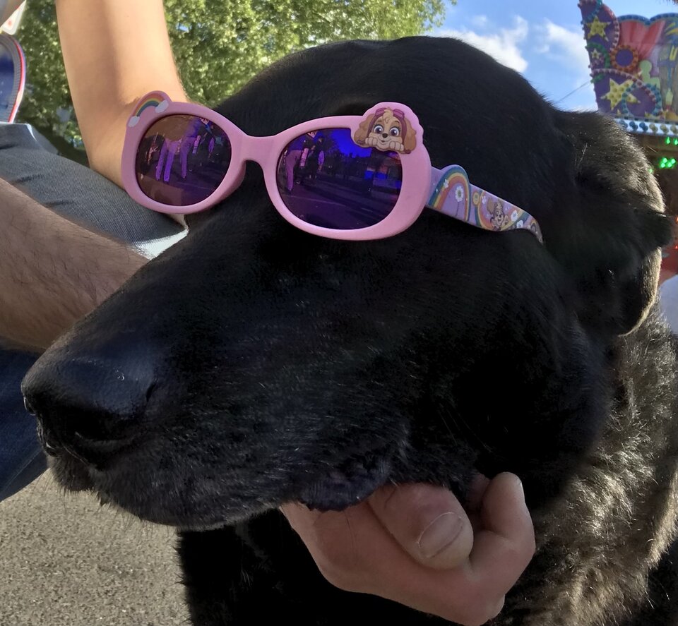 C95B4A2A-32D4-430C-8BAD-179F38FD651B.jpeg - Baki102