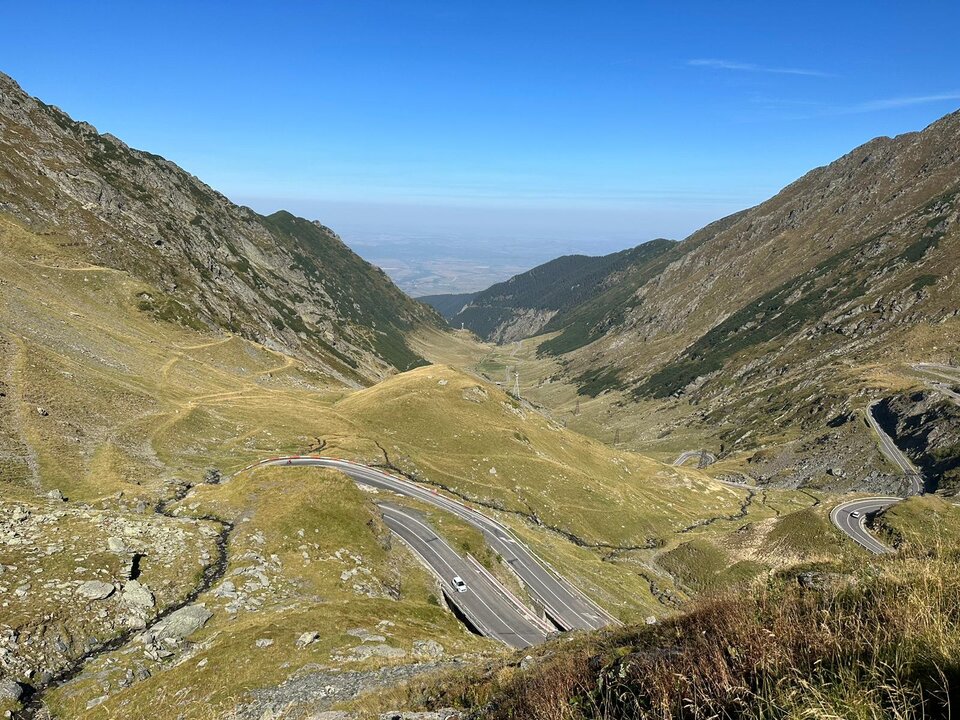 1000006871.jpg - WolnyDuch3