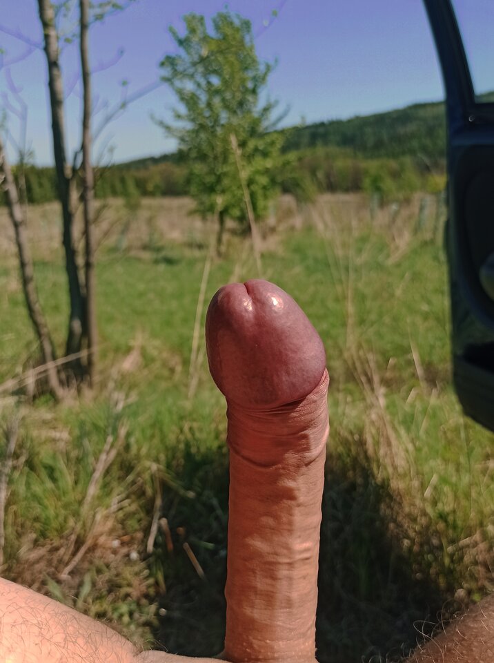 IMG_20240501_115029.jpg - Spermoland