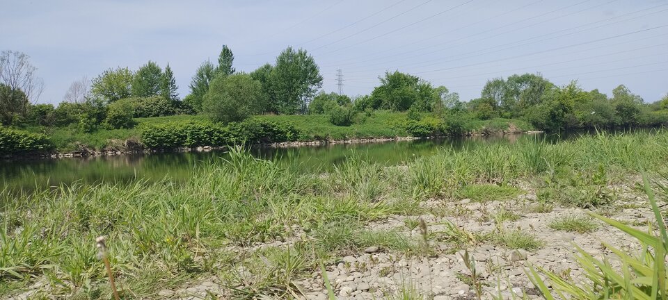 1000005567.jpg - dykas