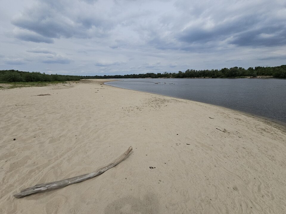 20240510_124007.jpg - D60LM