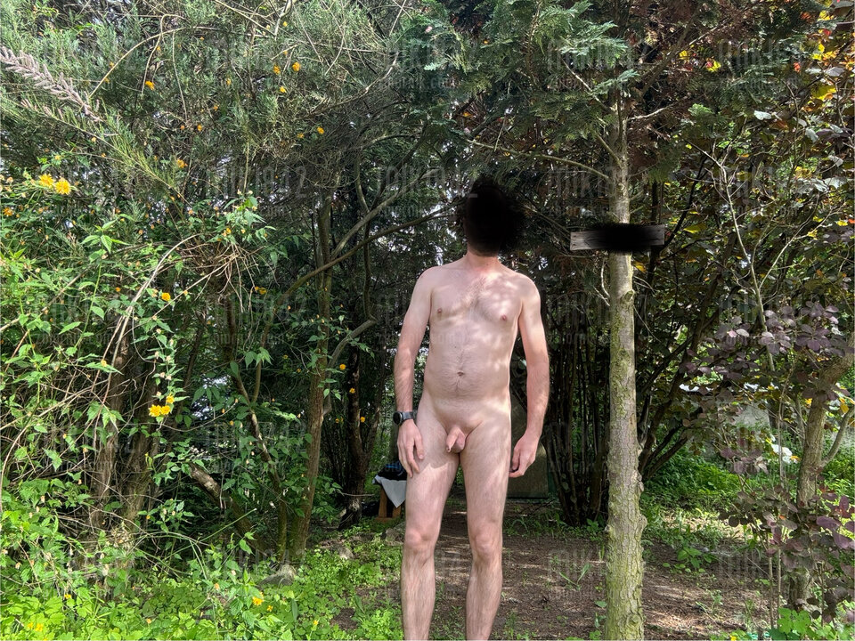 IMG_3316.jpeg - miki842