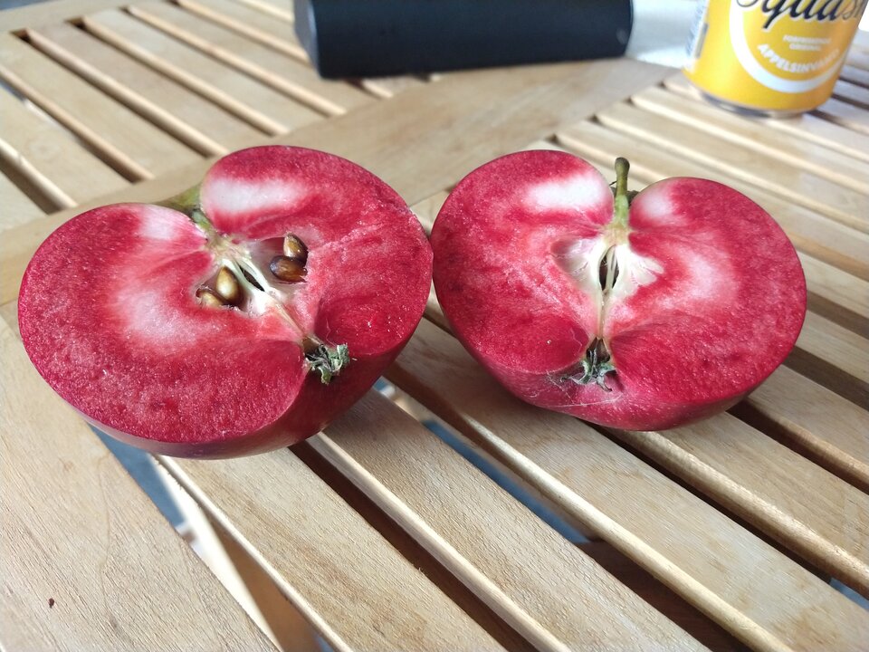 IMG_20210912_101734586.jpg - pavloff