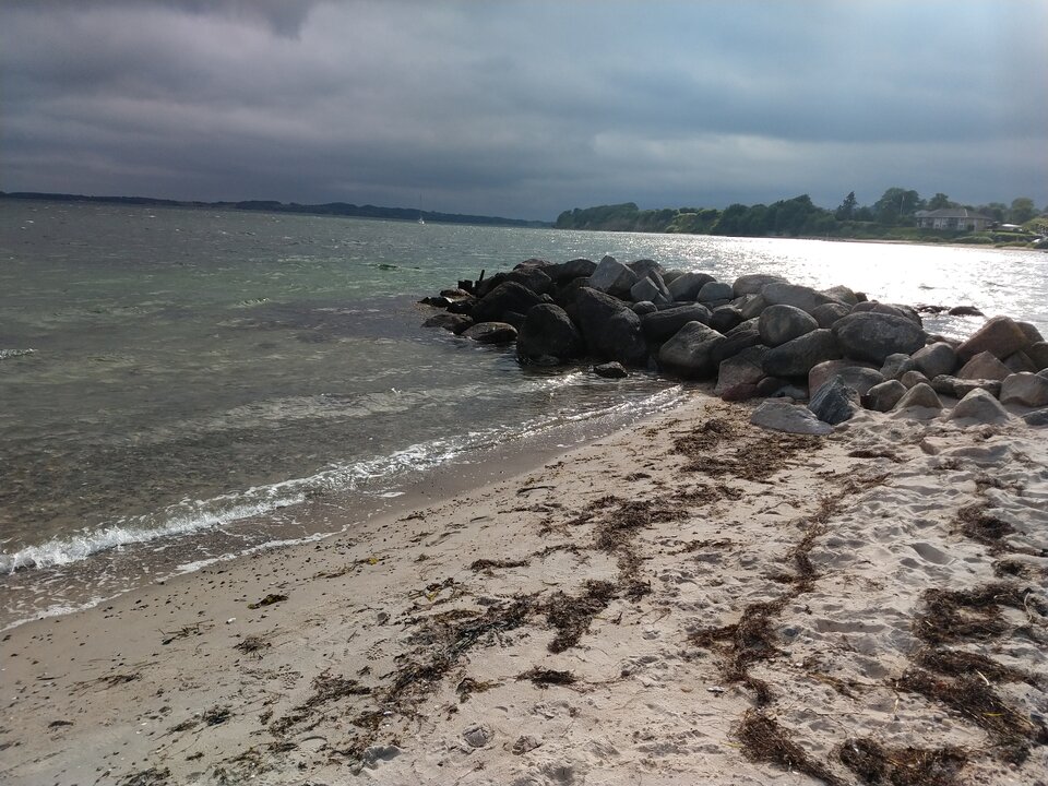 IMG_20220609_174501965.jpg - pavloff