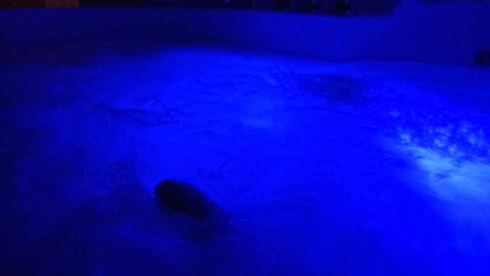 1000029634.jpg - ddd69