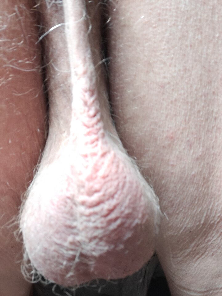 1000015633.jpg - jogan