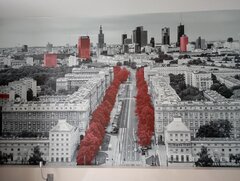 IMG_20240511_070211.jpg