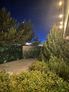 Palarnia na Swing United