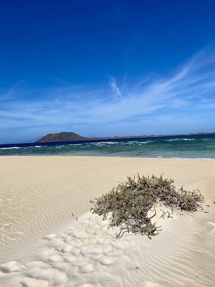 IMG_7977.jpeg - Doswiadczonapara