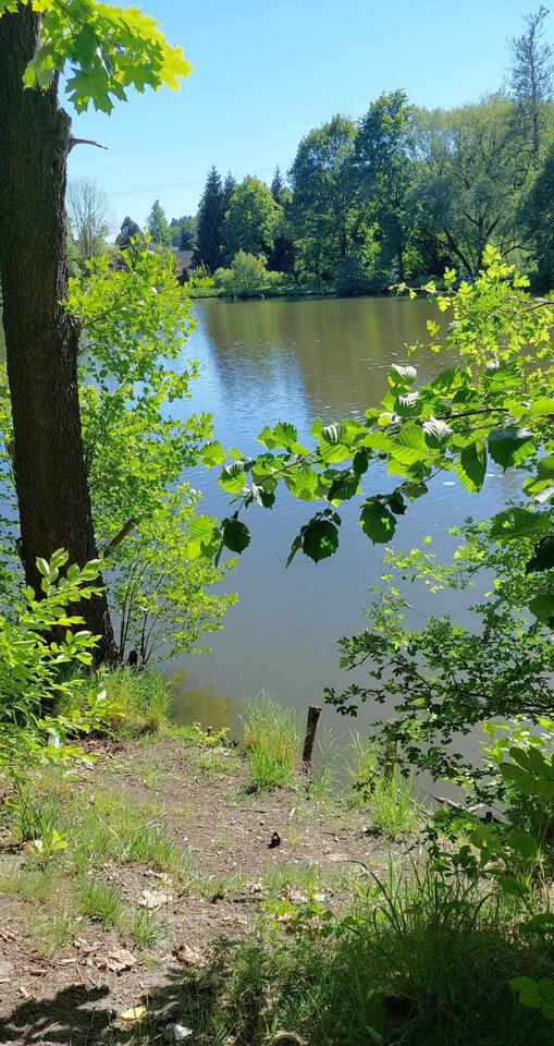 1000002381.jpg - Don_Pablo69