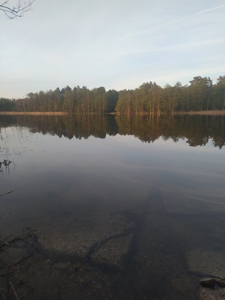 17155364903827092312960970395605.jpg - ptak362