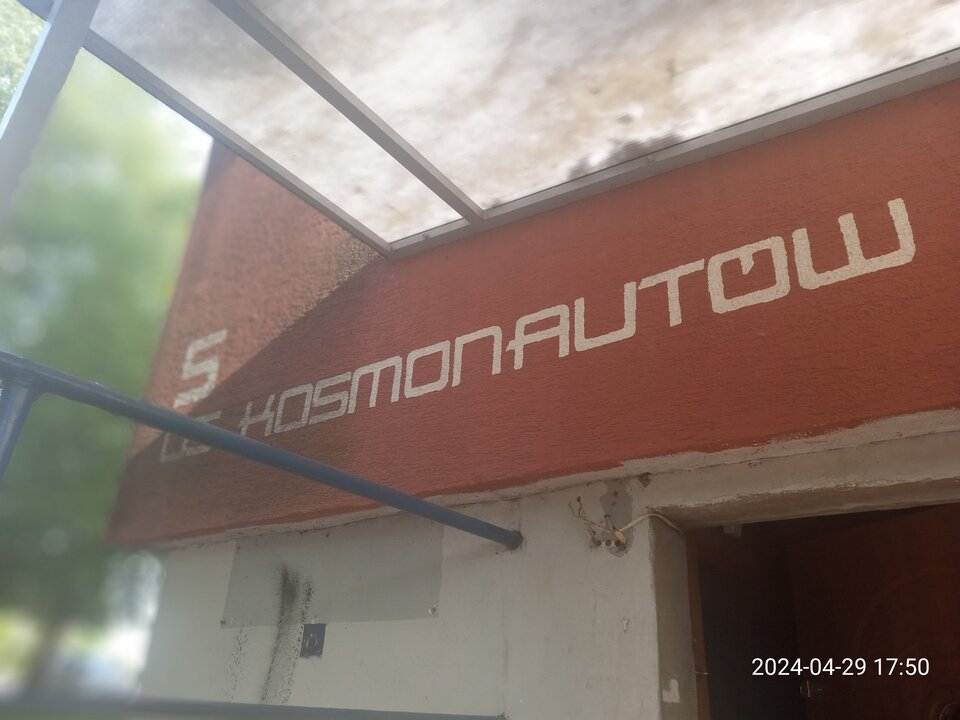 IMG_20240429_175038_008_PORTRAIT.jpg - Ina69