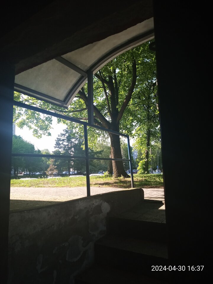 IMG_20240430_163716_038_PORTRAIT.jpg - Ina69