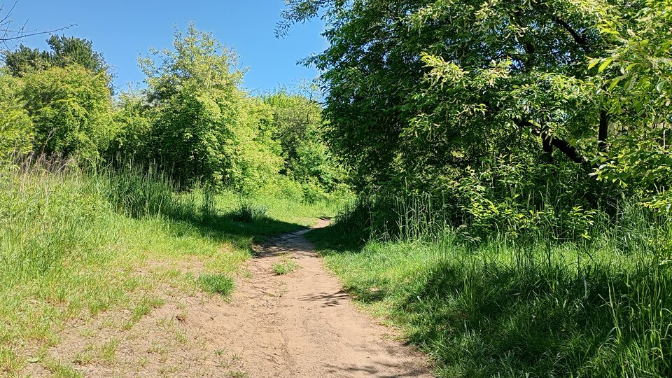 1000000045.jpg - Sexmilfq