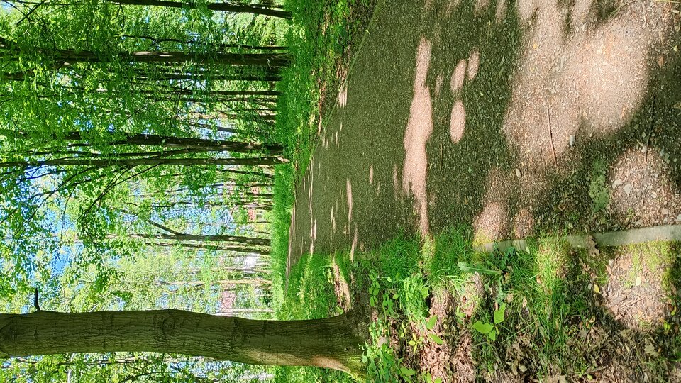 1000000041.jpg - Sexmilfq