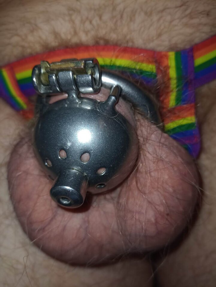 received_179101754962940.jpeg - Cwelpoz