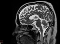 co mam w środku.jpg