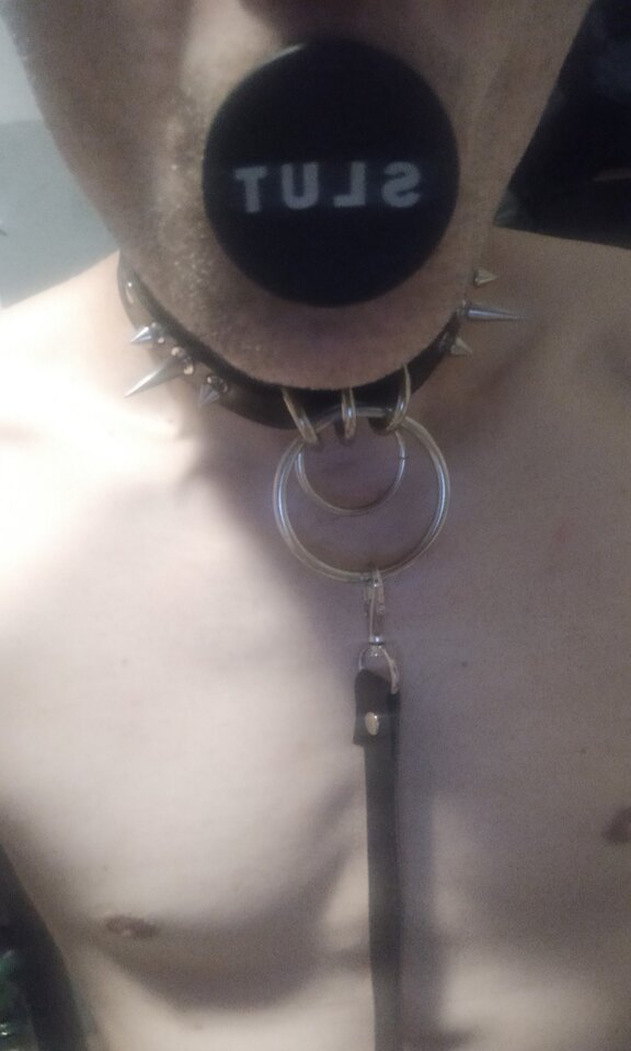 1713632785000.jpg - Slavedog80