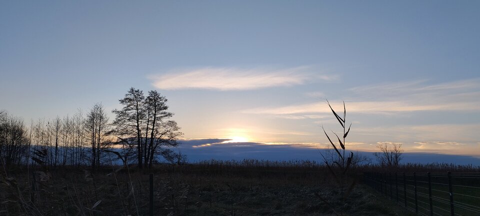 IMG_20231126_151610.jpg - torii99