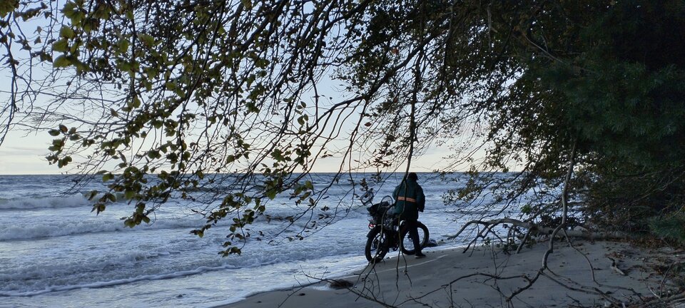 IMG_20231008_083634.jpg - torii99